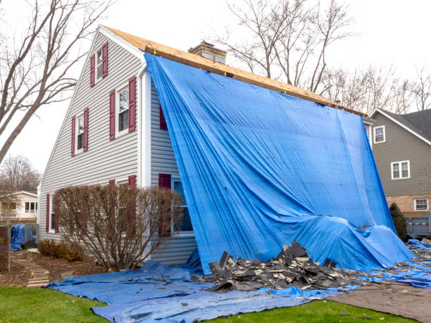 Best Stone Veneer Siding  in Shorewood Forest, IN